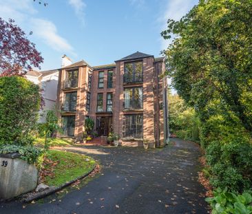 39c San Souci Park, Belfast, BT9 5QZ - Photo 3