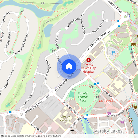 16 Torrey Place, Qld 4226, Robina