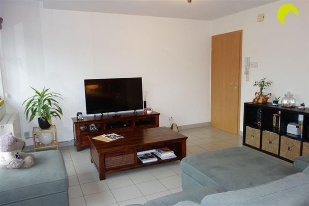 Appartement te huur in Rumst - Photo 1