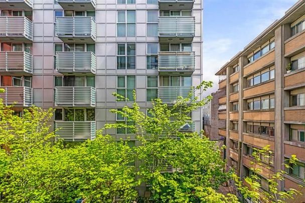 168 Powell St #501, Vancouver, BC V6A 0B2, Canada - Photo 1