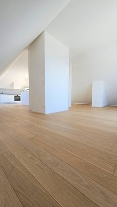 Magnifique appartement duplex avec vue imprenable et ascenseur - Photo 1