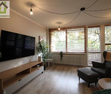 Mieszkanie Sosnowiec Centrum powierzchnia 61.0 m² C26-WM-03131 - Zdjęcie 5