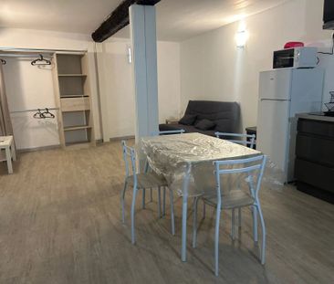 Location Appartement 1 pièces à Perpignan - Photo 3