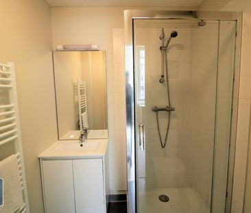 Location Appartement 1 pièce 20m² GRENOBLE 38000 - Photo 2
