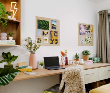 Extra Large Studio - Photo 1