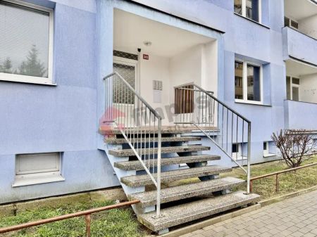 Pronájem bytu 2+1 41 m - Fotografie 3