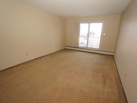 1 Bedroom - Photo 2