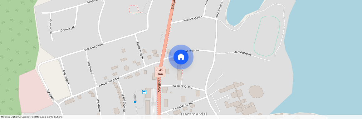 Hantverkargatan 5, Hammerdal