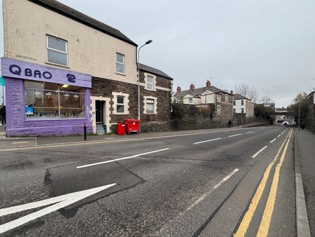 Salisbury Road, Cathays - Photo 3
