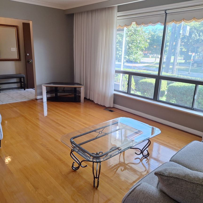 For Lease - 10 Maniza Road, Toronto, Ontario - Photo 1