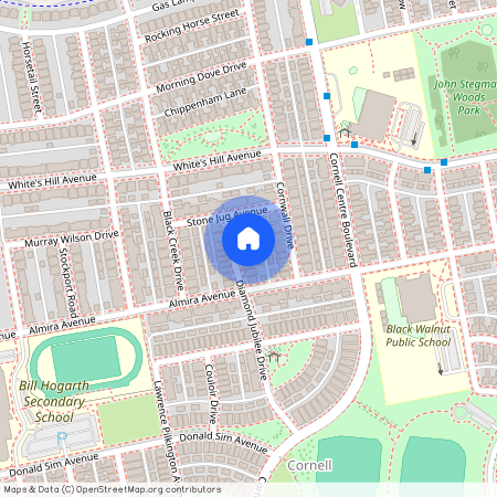 77 Diamond Jubilee Drive, Markham