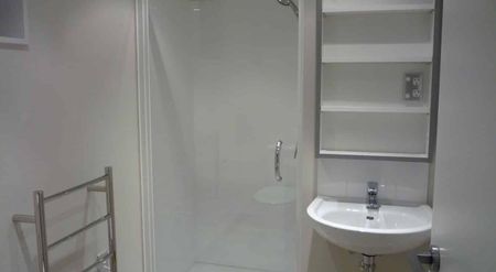 Stylish 2BR City Apt with Amenities - Photo 4