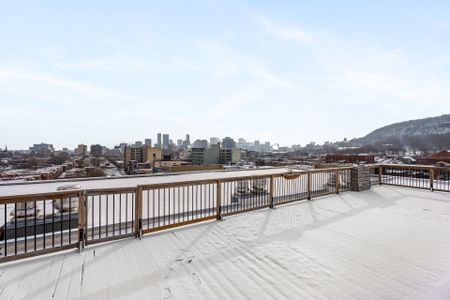 4225 Rue St-Dominique, #307 - Photo 4