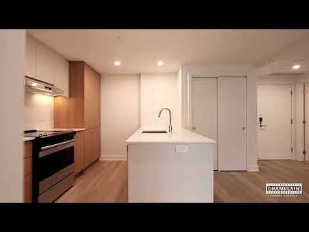 Champlain Condos Locatifs-Condo Rentals Ville-Marie - Photo 3
