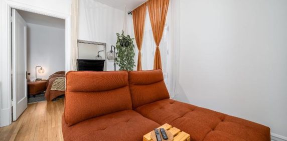 Appartement 3 ½ à louer Montcalm / Saint-Sacrement janvier 2026 - Photo 2