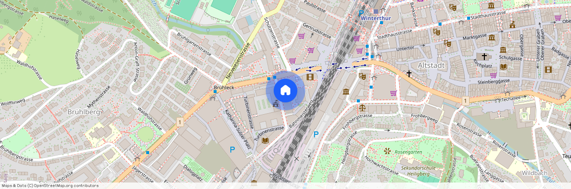 Pionierstrasse 24, 8400 Winterthur, Lageplan