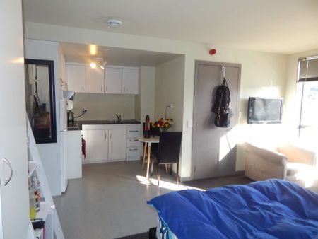 1 Bedroom, Te Aro - Photo 5