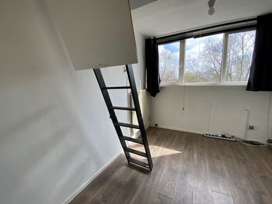 Hoendiep 61A, 9718 TC Groningen - Photo 1