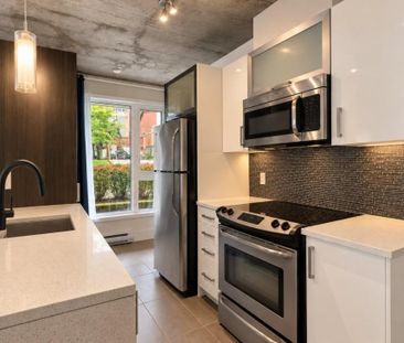 Appartement à louer - Montréal (Ville-Marie) (Centre) - Photo 5