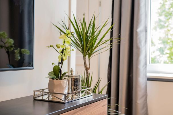 Brunnenstraße - Photo 1