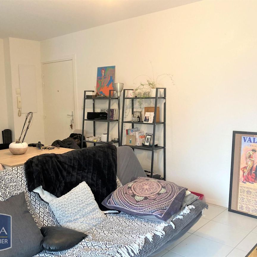 Location Appartement 2 pièces 47m² MONTAUBAN 82000 - Photo 1