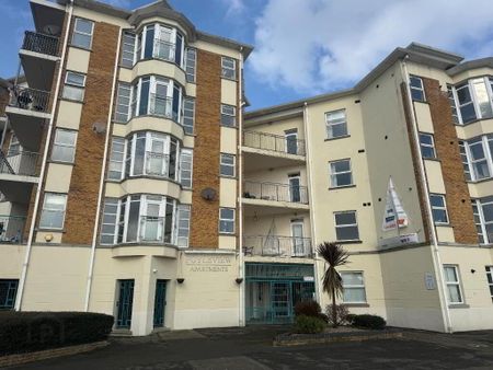 17 Foyleview, The Quay, Derry, BT48 7BH - Photo 5