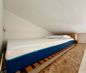 Appartement à louer 1 pièce • Toulouse - Photo 3