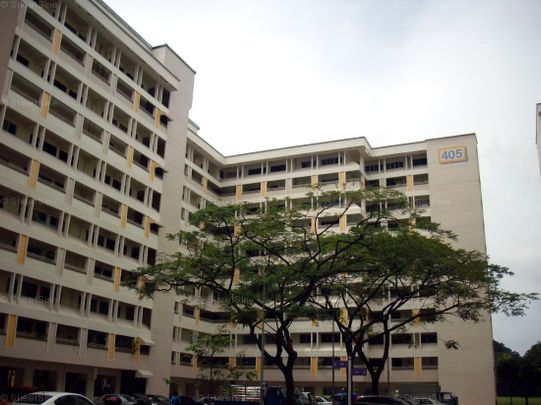 Blk 405 Hong Kah Court (Jurong West), HDB Executive - For Rent - Photo 1