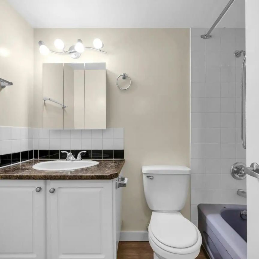 FERNDALE COURT — 1 Bed 1 Bath A - FEC - Photo 1