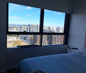 Zetland - Photo 3