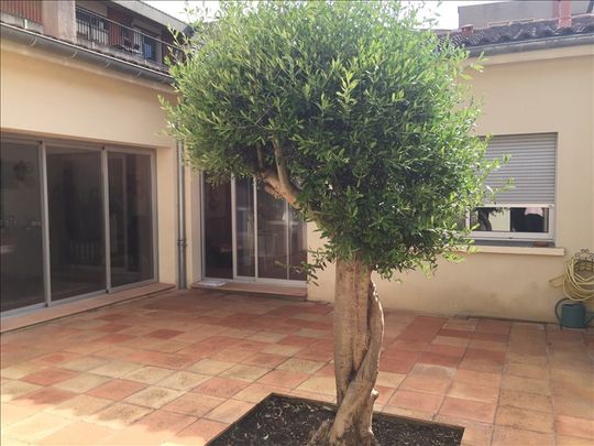 Maison TOULOUSE - 4 pièce(s) - 143 m2, - Photo 1