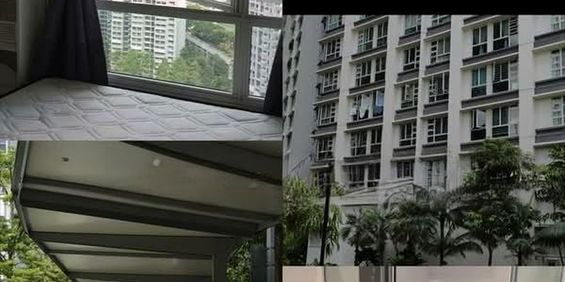 Blk 43A Skyoasis @ Dawson (Queenstown), HDB 4 Rooms - For Rent - Photo 3