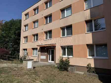 Pronájem bytu 1+1 se sklepní kójí a možností užívání zahrady u domu - Photo 3