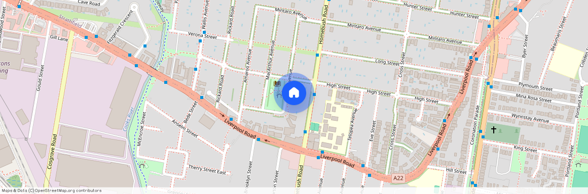 22 Noble Avenue, NSW 2135, Strathfield