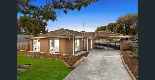 Comfortable Family Living in Prime Highton - Photo 1