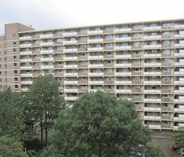 Dadeltuin 3078 KZ Rotterdam - Photo 2