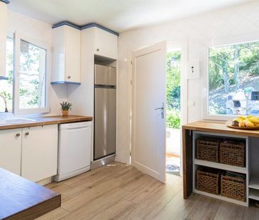 Rua de Cedofeita, Porto, Braga 4050 - Photo 2