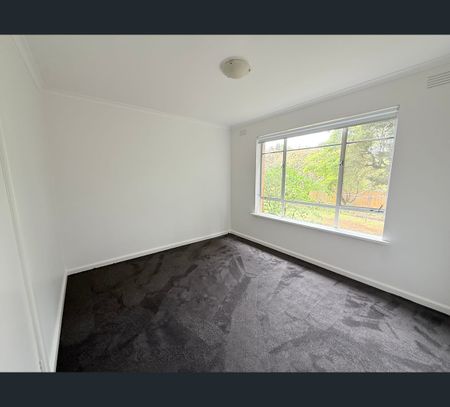 4/33 Carmichael Street, Ivanhoe East, Vic 3079 - Photo 3