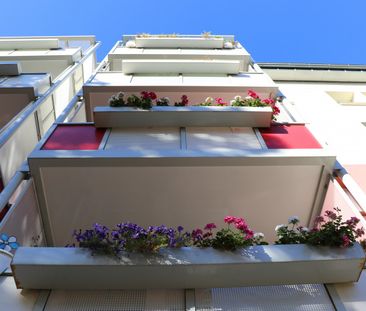 Singlewohnung Zentrumsnah - Photo 2