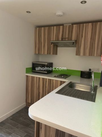 Budget Classic Apartment - Photo 4