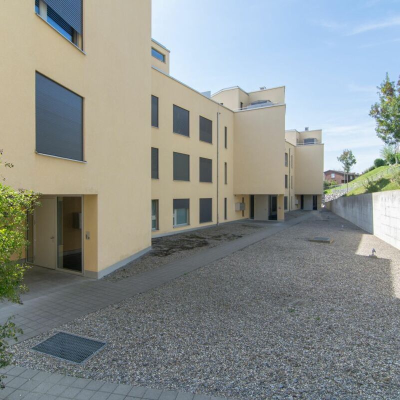 3.5 Zimmer, 83 m², 1. Stock - Foto 1