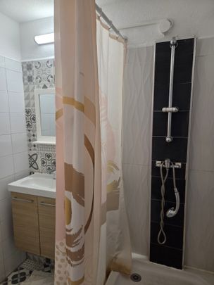 Location Appartement 1 pièce 18m² ST DENIS 97490 - Photo 1