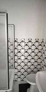 Location Appartement 1 pièce 19m² NICE 06000 - Photo 4