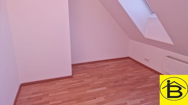 15417 - 5 Zimmer in der Innenstadt! - Photo 1