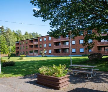 Mariegården 43, 376 37, SVÄNGSTA, Sverige - Photo 5
