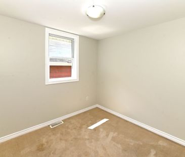 For Lease - 355 Bronson Avenue, Ottawa Centre, Ontario - Photo 3