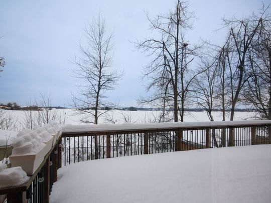 For Lease - 30 Forsyth Crescent, Springwater, Ontario - Photo 1