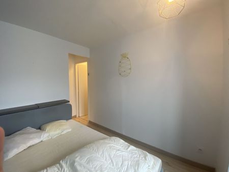 LOCATION 69100 VILLEURBANNE - Chambre à louer dans colocatio , Villeurbanne - Photo 2