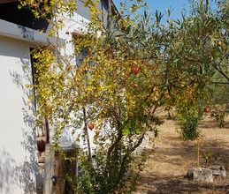 Μονοκατοικία για ενοικίαση - Ανατολικος Όλυμπος, - Φωτογραφία 3