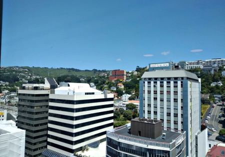 Light, Bright one bedroom apartment in the CBD - Photo 2